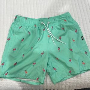 Hollister Swimming Shorts